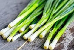 Врачи рассказали, кому нельзя есть зелёный лук