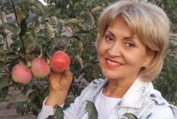 Женщина, сбившая мать с ребенком в Киеве, оказалась тещей Притулы