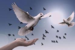 Ученые установили, куда исчезает душа человека после физической смерти тела