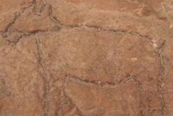 В Египте нашли пещеру с уникальными наскальными рисунками