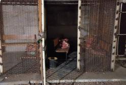 Катівня у Вишневому: засуджено двох військових рф, які викрадали та мучили бранців (відео)