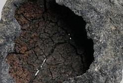 В Германии нашли древнейшее в Европе пиво