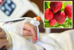 У Дніпрі в лікарні помер 6-річний хлопчик, який з'їв полуницю