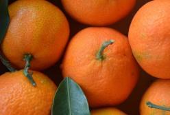 Врачи рассказали о пользе и вреде мандарин