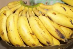 Специалисты назвали продукты, которые укрепляют органы дыхания