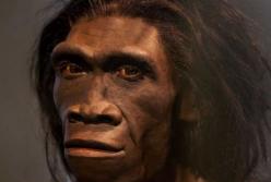 Ученые обнаружили последнюю стоянку прямоходящих предков человека