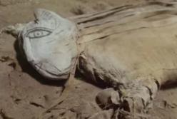 В Египте обнаружили загадочную мумию (фото)