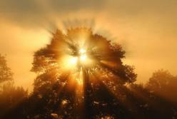 Витамин D: 7 продуктов, которые заменят солнечный свет