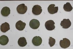 В Житомирской области найден сенсационный клад (фото)