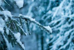 Прогноз погоды на 16 февраля: осадков синоптики не прогнозируют