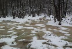 На Житомирщине женщина утонула в болоте