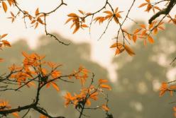 Прогноз погоды на 17 ноября: солнечно и морозно
