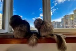 Сильні дощі насуваються на Київ та центральні області: прогнозують похолодання