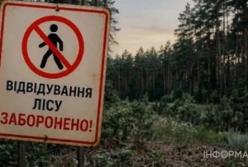 Киян закликають утриматися від відвідування лісів через високу мінну небезпеку