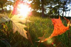 Прогноз погоды на 18 октября: Украина - одна из самых теплых стран Европы (карта)