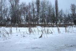 В Харькове в лесополосе обнаружили труп мужчины