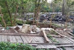 В Киеве избили ромов и сожгли их палатку