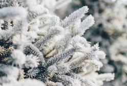 Синоптики призвали украинцев быть готовыми к аномальной зиме