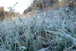 Синоптики предупредили о заморозках и порывах ветра
