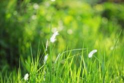 Прогноз погоды на 30 августа: лето не отступает