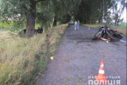 В смертельном ДТП на Черниговщине машину разорвало пополам (фото)