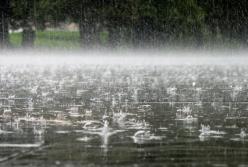 ​Весна в Украине завершается грозовыми дождями и похолоданием