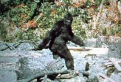 Рассекречен архив: ФБР занималось исследованием снежного человека