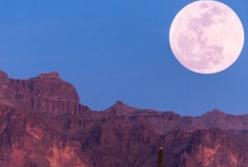 Жители Земли смогут в апреле увидеть «розовую луну»