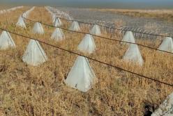 14 млн грн збитків: на Дніпропетровщині розслідують розкрадання на фортифікаціях 