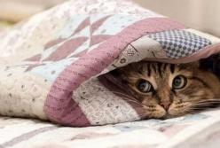 Прогноз погоды на 16 ноября: в Украину идет похолодание и ночные морозы