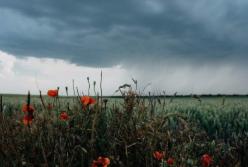 Прогноз погоды на 15 мая: на Запад надвигаются грозы, на Востоке – до +27 градусов