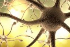 Названы виды рака, которые наследуются чаще всего