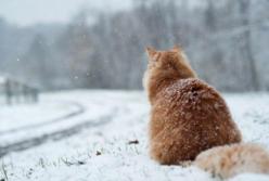 В воскресенье ожидается значительное похолодание