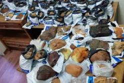 В поезде Киев-Вена под умывальником обнаружили 50 кг янтаря