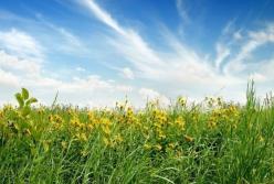 Прогноз погоды на 28 июля: в Украине преимущественно будет солнечно и тепло