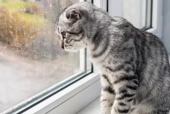 Прогноз погоды на 22 февраля: преимущественно без осадков и тепло 