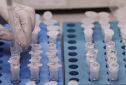 Массовое тестирование на коронавирус: закон вступил в силу