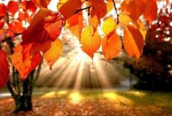 Прогноз погоды на 9 ноября: снова потепление (карта)