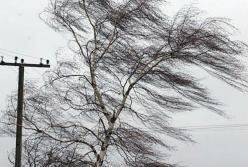 В Украине объявили штормовое предупреждение