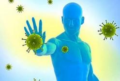 Врачи назвали продукты для укрепления иммунитета 