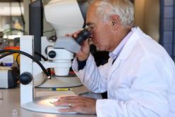 Ученые назвали витамин, который снижает риск заболеваний грудной клетки