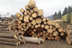 На Прикарпатье и Буковине предотвратили экспорт незаконно срубленного леса на миллионы гривен