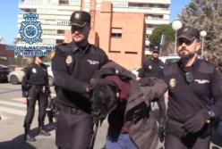 В Испании мужчина четвертовал мать и ел ее две недели