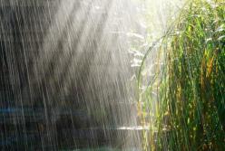 Прогноз погоды на 26 июня: грозы и невыносимая жара 