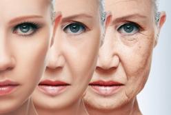 Ученые выяснили, от чего зависит скорость старения