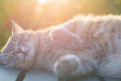 Прогноз погоды на 27 марта: весна идет в Украину