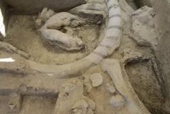 Археологи обнаружили "ловушку" для мамонтов, которой 14 тыс. лет
