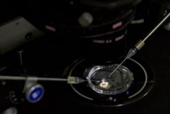 Гинеколог тайно оплодотворил минимум 17 пациенток