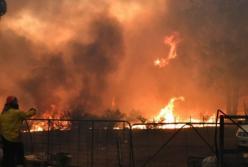 В Австралии из-за масштабных лесных пожаров объявили чрезвычайное положение