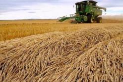 Урожай в Украине превысил ожидания